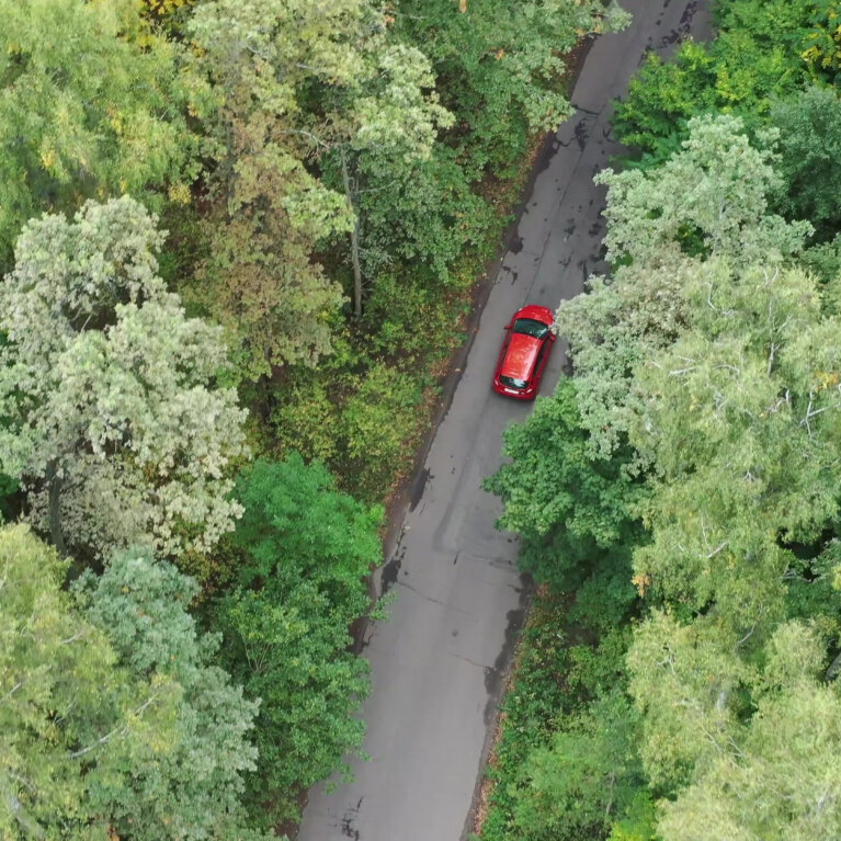 view of car driving through forest