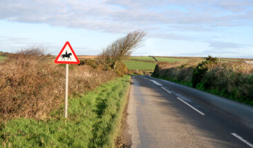 Country road with horse riders signpost