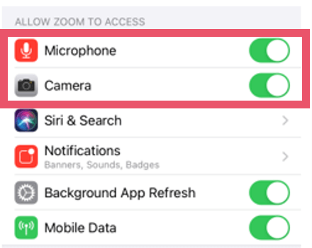 Apple iPhone App Permissions