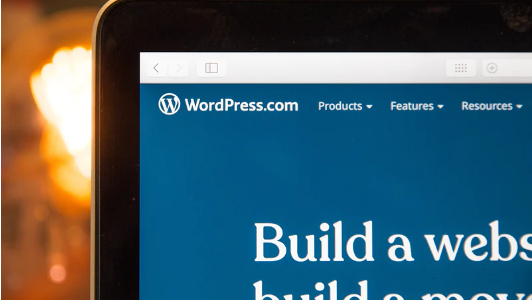 Website Builders like WordPress and others comparison