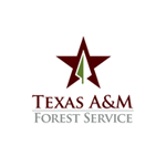 Texas A M Forest Services