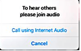 Zoom - Apple iOS Device Call using Internet Audio
